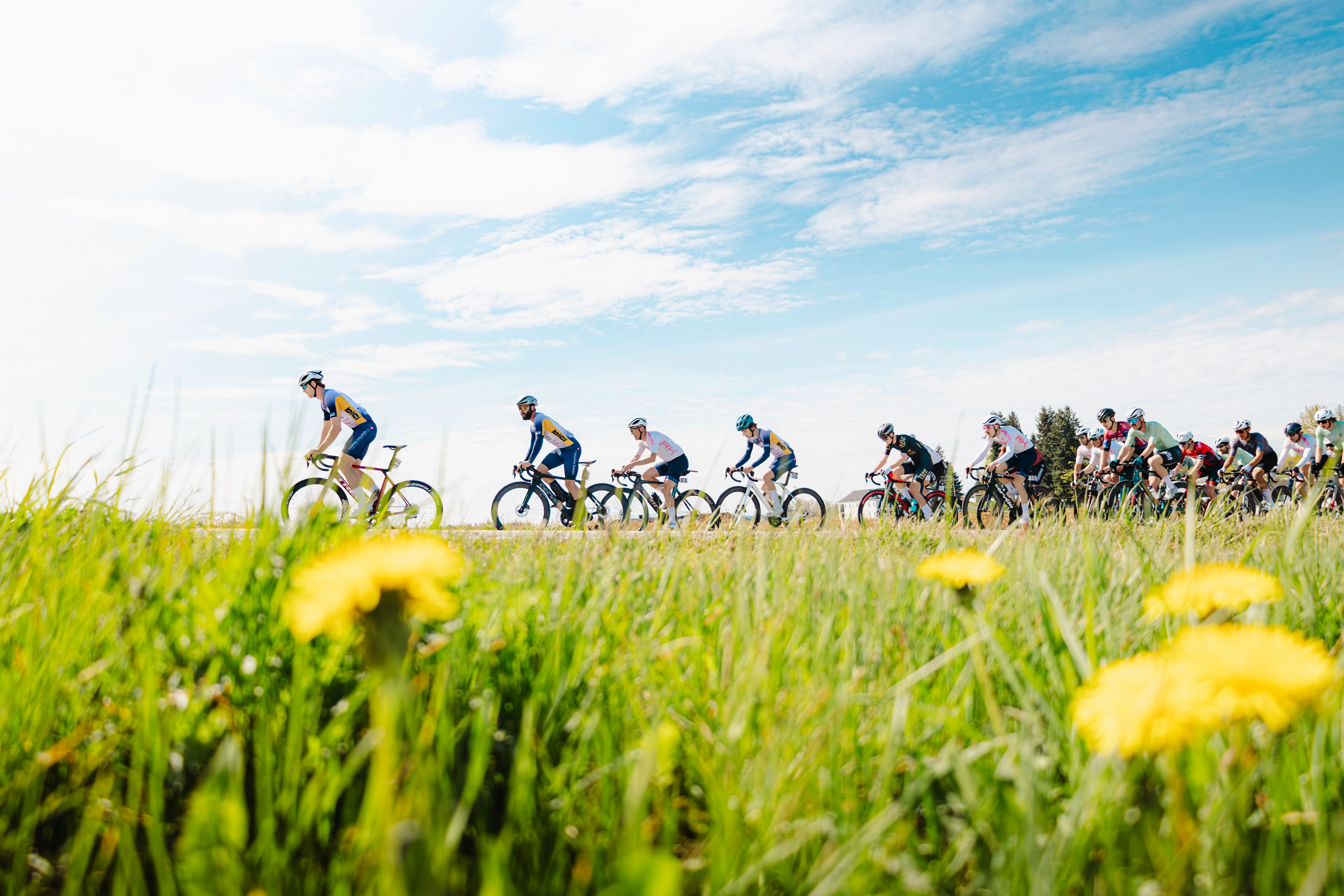 Aldergrove Road Race