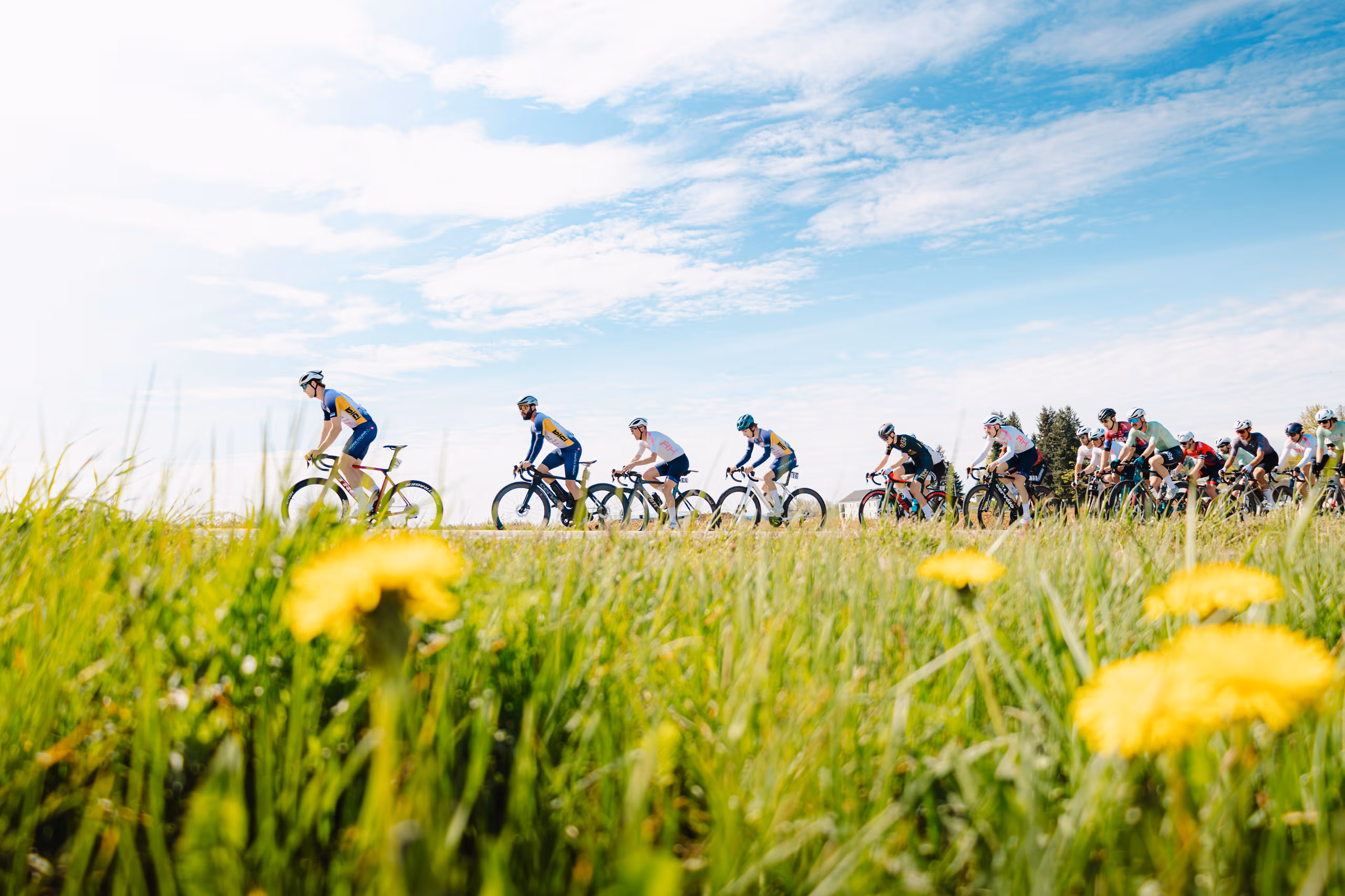 Aldergrove Road Race