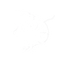 TubuTiger logo