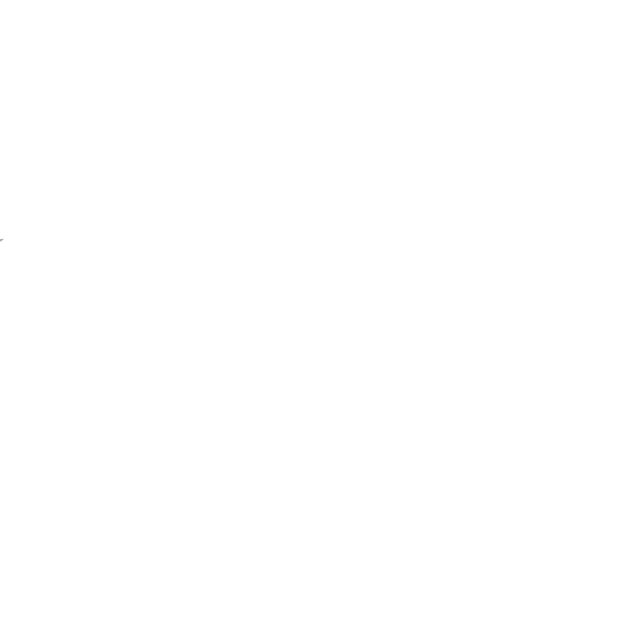 The little cheerer — TubuTiger's hand-drawn mascot